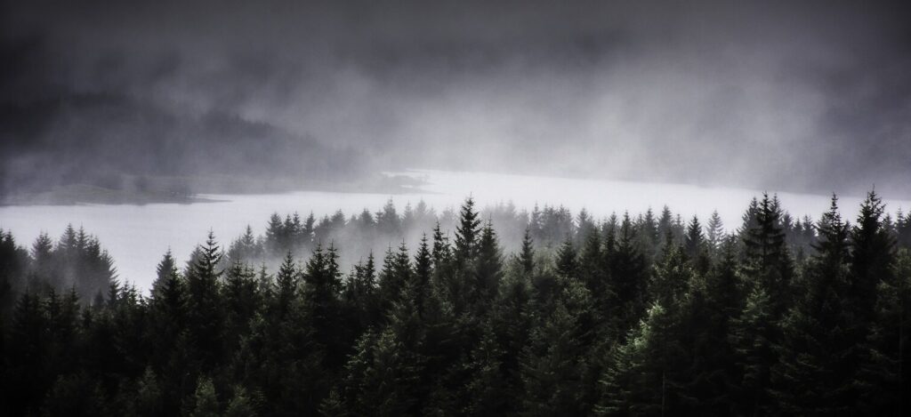 iStock 1305064913 2