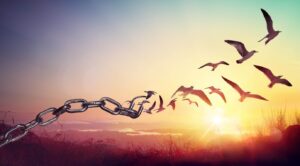 iStock 1322104312 1