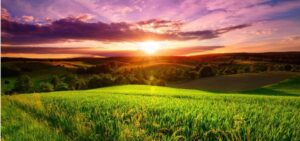 colorful sunset scenery on green fields picture id1251741724