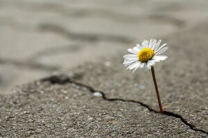 offer hope