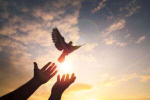 the power of prayer